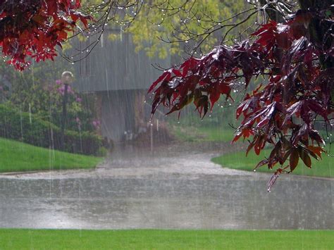 free images of rain|rain images jpg.